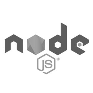 Node.js backend development technology icon representing scalable server-side applications and real-time web solutions